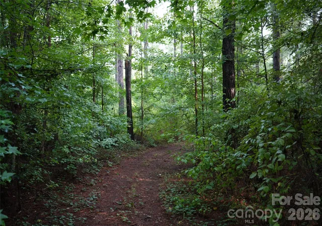 Photo 4 of Land for sale at 00 Bobby Faucette Rd #6, Jonesville, SC 29353 | MLS# 4365032 | Listing updated on 2026-08-18