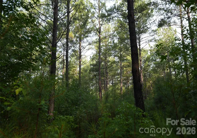 Photo 5 of Land for sale at 00 Bobby Faucette Rd #6, Jonesville, SC 29353 | MLS# 4365032 | Listing updated on 2026-08-18
