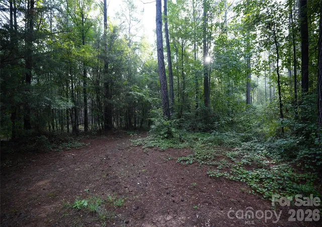 Photo 4 of Land for sale at 00 Bobby Faucette Rd #7, Jonesville, SC 29353 | MLS# 4365064 | Listing updated on 2026-08-18