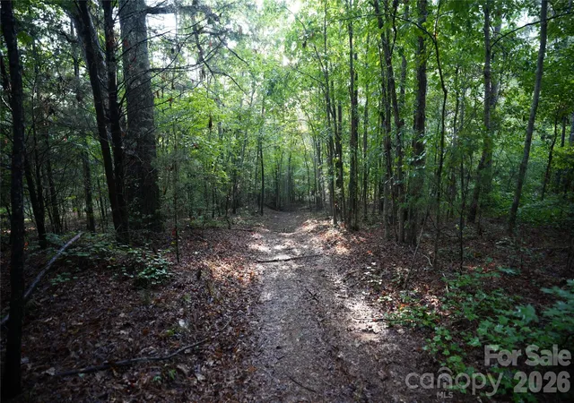 Photo 5 of Land for sale at 00 Bobby Faucette Rd #7, Jonesville, SC 29353 | MLS# 4365064 | Listing updated on 2026-08-18
