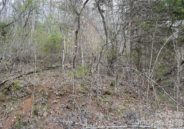 Homes for sale in Cullowhee, NC | Tbd Bel Air Rd #20, Cullowhee, NC 28723 | MLS# 4365074