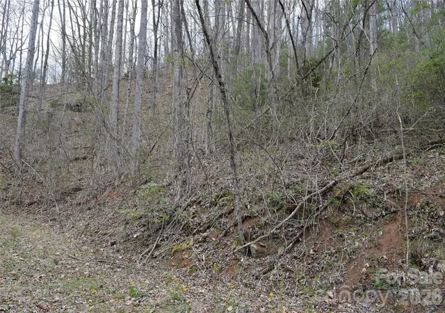 Homes for sale in Cullowhee, NC | Tbd Bel Air Rd #20, Cullowhee, NC 28723 | MLS# 4365074