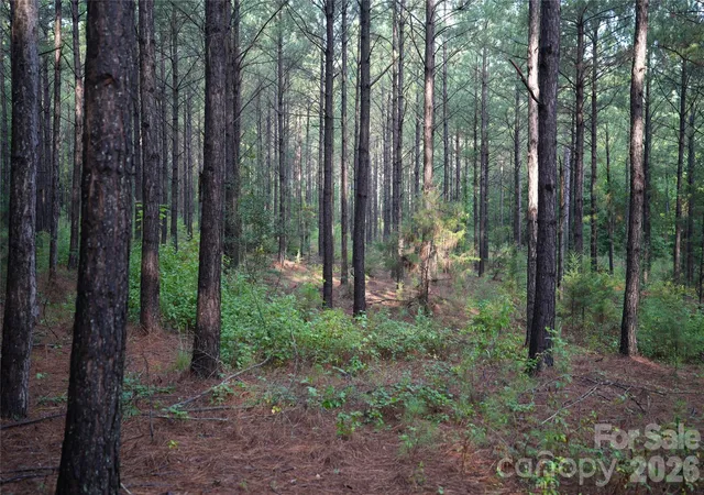 Photo 5 of Land for sale at 00 Bobby Faucette Rd #8, Jonesville, SC 29353 | MLS# 4365093 | Listing updated on 2026-08-18