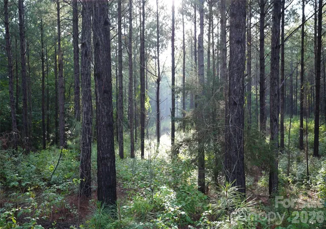 Photo 5 of Land for sale at 00 Bobby Faucette Rd #9, Jonesville, SC 29353 | MLS# 4365119 | Listing updated on 2026-08-18