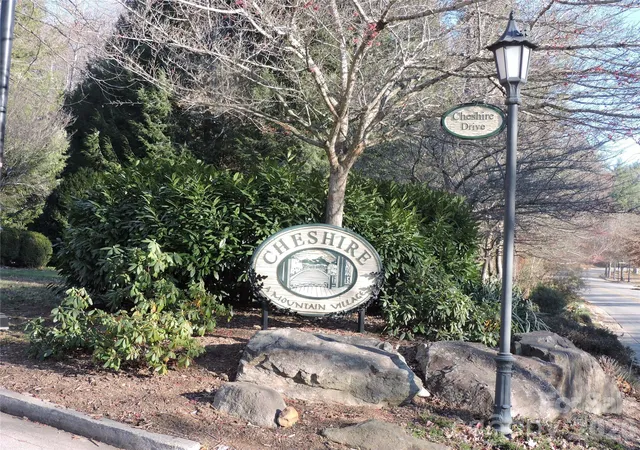 Homes for sale in Black Mountain, NC | 10 Whitman Ln #41, Black Mountain, NC 28711 | MLS# 4365179