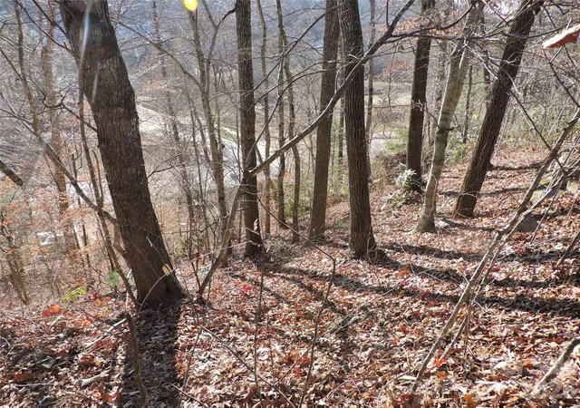 Homes for sale in Black Mountain, NC | 10 Whitman Ln #41, Black Mountain, NC 28711 | MLS# 4365179