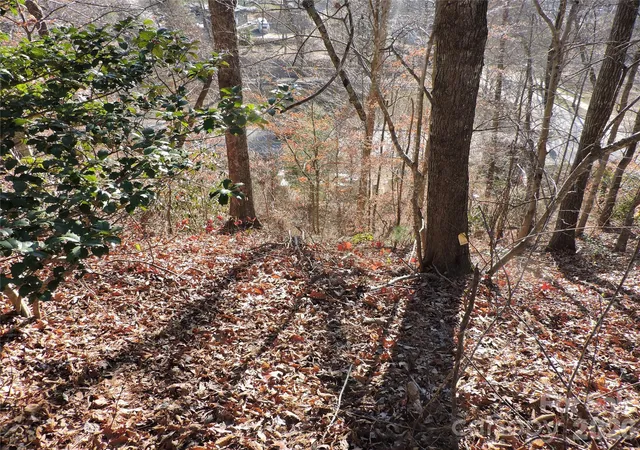 Homes for sale in Black Mountain, NC | 10 Whitman Ln #41, Black Mountain, NC 28711 | MLS# 4365179