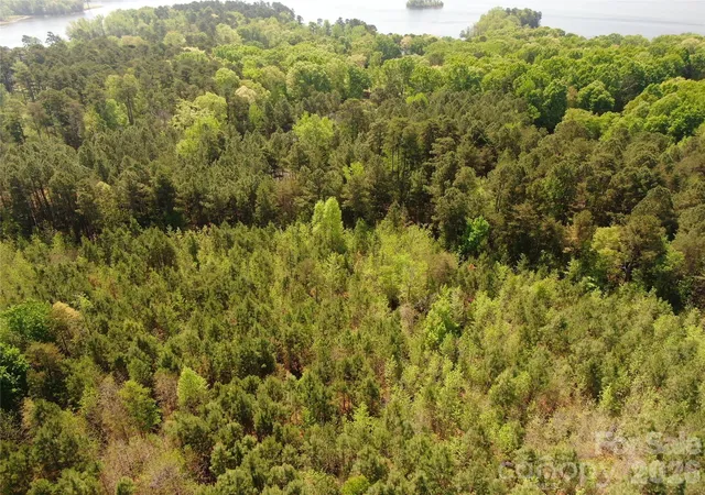 Homes for sale in New London, NC | 123 Summer Lake Dr, New London, NC 28127 | MLS# 4365228