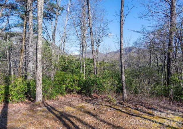 Homes for sale in Lake Toxaway, NC | Trp 1 Cardinal Dr W, Lake Toxaway, NC 28747 | MLS# 4365397