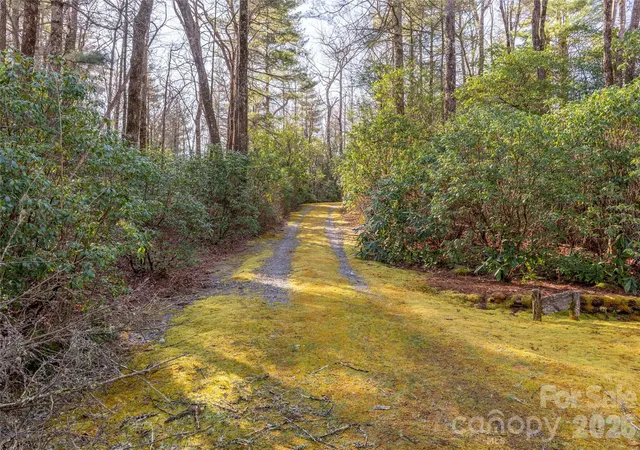 Homes for sale in Lake Toxaway, NC | Trp 1 Cardinal Dr W, Lake Toxaway, NC 28747 | MLS# 4365397