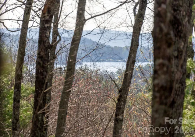 Homes for sale in Lake Toxaway, NC | Trp 1 Cardinal Dr W, Lake Toxaway, NC 28747 | MLS# 4365397