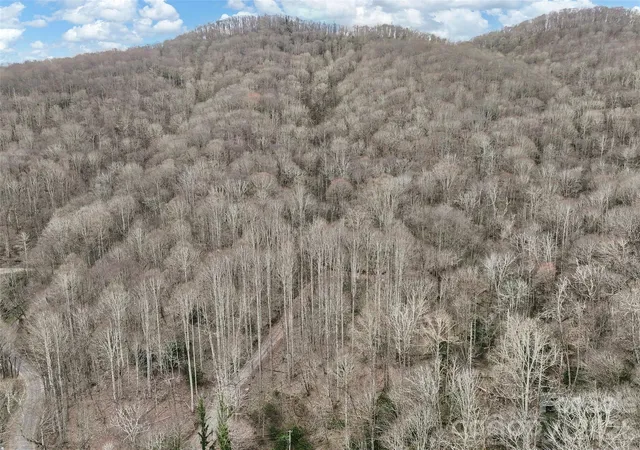 18th image of 23 Forbidden Cvs, Waynesville, NC 28785 | MLS# 4365458