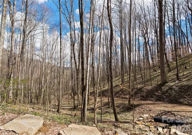 2nd image of 23 Forbidden Cvs, Waynesville, NC 28785 | MLS# 4365458
