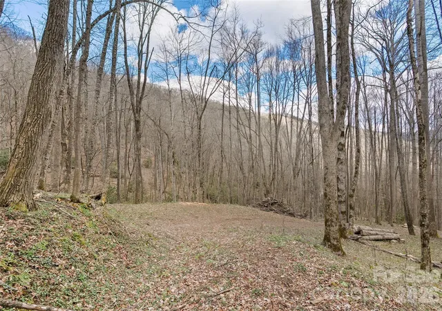 1st image of 23 Forbidden Cvs, Waynesville, NC 28785 | MLS# 4365458