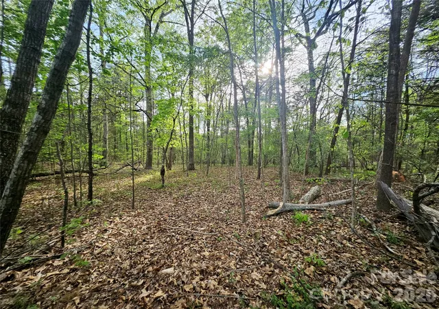 12th image of 1110 Clark Hill Dr, Belmont, NC 28012 | MLS# 4365507