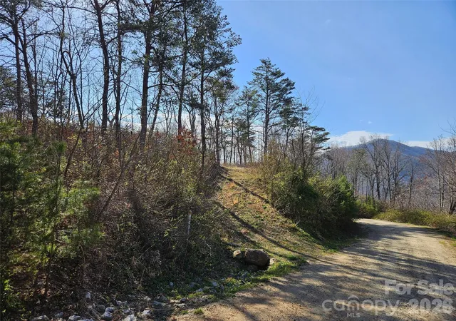 27th image of 989 High Rock View Dr, Canton, NC 28716 | MLS# 4365528