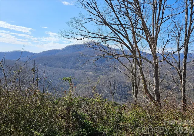 3rd image of 989 High Rock View Dr, Canton, NC 28716 | MLS# 4365528