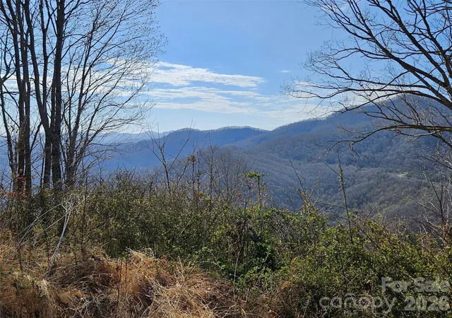 4th image of 989 High Rock View Dr, Canton, NC 28716 | MLS# 4365528
