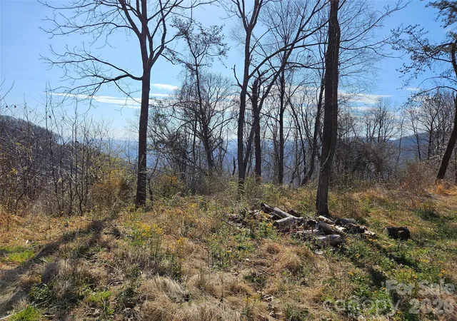 5th image of 989 High Rock View Dr, Canton, NC 28716 | MLS# 4365528