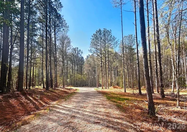 1st image of 0 Peden Bridge Rd, Chester, SC 29706 | MLS# 4365706