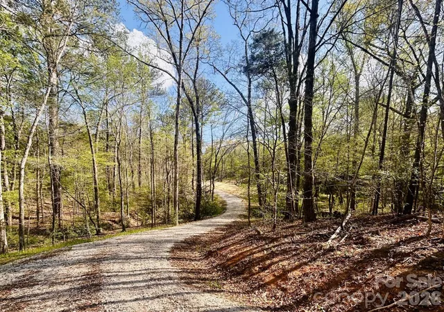 Photo 3 of Land for sale at 0 Peden Brg Rd, Chester, SC 29706 | MLS# 4365706 | Listing updated on 2026-07-15