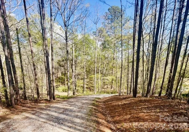 Photo 4 of Land for sale at 0 Peden Brg Rd, Chester, SC 29706 | MLS# 4365706 | Listing updated on 2026-07-15