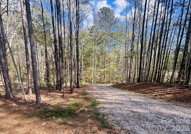 Photo 5 of Land for sale at 0 Peden Brg Rd, Chester, SC 29706 | MLS# 4365706 | Listing updated on 2026-07-15