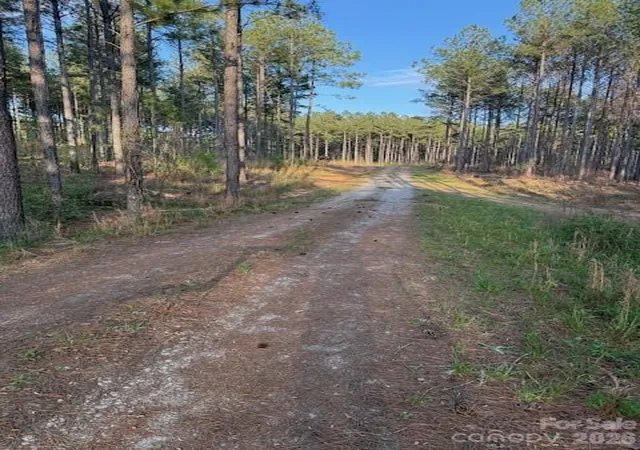 Homes for sale in Lilesville, NC | 00 Clark Mountain Rd, Lilesville, NC 28091 | MLS# 4365726