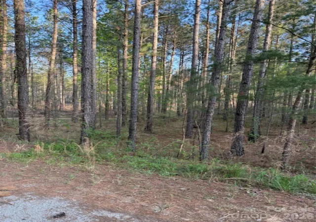 Homes for sale in Lilesville, NC | 00 Clark Mountain Rd, Lilesville, NC 28091 | MLS# 4365726