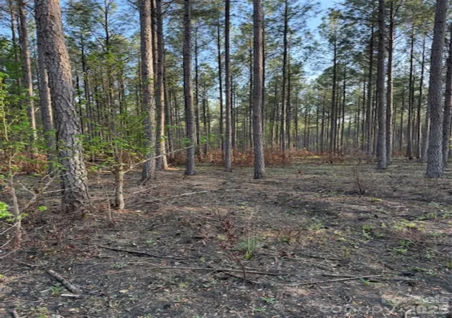 Homes for sale in Lilesville, NC | 00 Clark Mountain Rd, Lilesville, NC 28091 | MLS# 4365726