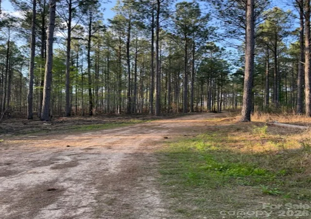 Homes for sale in Lilesville, NC | 00 Clark Mountain Rd, Lilesville, NC 28091 | MLS# 4365726