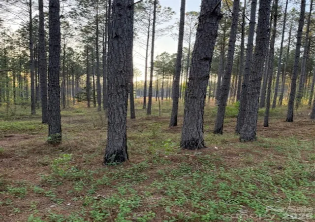 Homes for sale in Lilesville, NC | 00 Spencer Pointe Rd, Lilesville, NC 28091 | MLS# 4365752