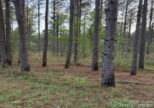 Homes for sale in Lilesville, NC | 00 Spencer Pointe Rd, Lilesville, NC 28091 | MLS# 4365752