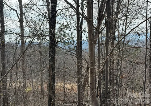 3rd image of Lot 236 Rock Ledge Dr, Lake Lure, NC 28746 | MLS# 4365791