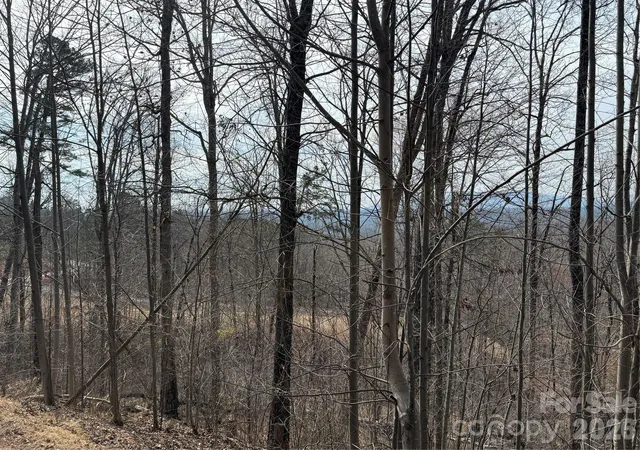4th image of Lot 236 Rock Ledge Dr, Lake Lure, NC 28746 | MLS# 4365791