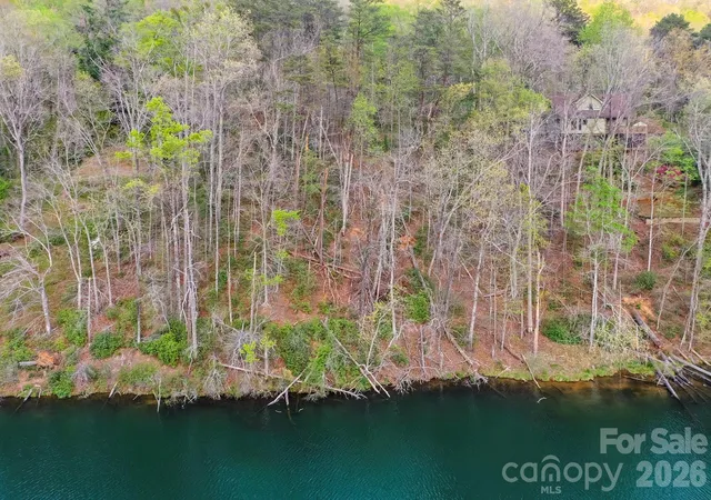 5th image of 0000 Buffalo Creek Rd, Lake Lure, NC 28746 | MLS# 4365829