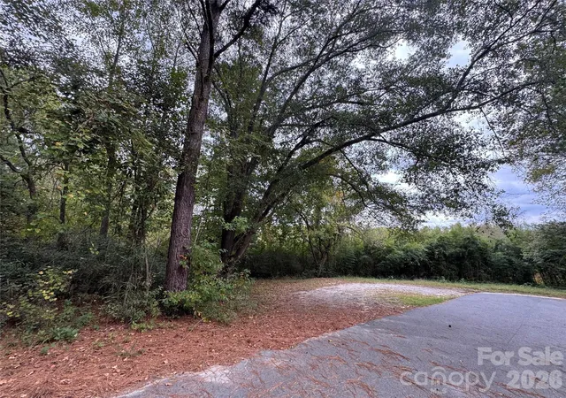 Homes for sale in Hamlet, NC | 00 Ellen Dr, Hamlet, NC 28345 | MLS# 4365984