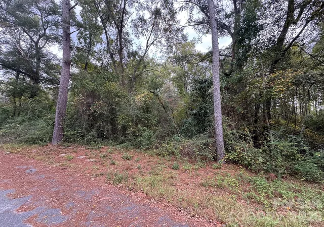 3rd image of 00 Ellen Dr, Hamlet, NC 28345 | MLS# 4365984