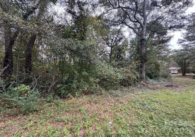 4th image of 00 Ellen Dr, Hamlet, NC 28345 | MLS# 4365984