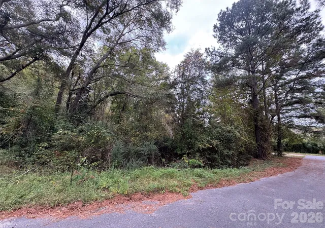 5th image of 00 Ellen Dr, Hamlet, NC 28345 | MLS# 4365984
