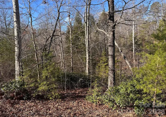 Land for sale at 0 Rock Ledge Dr, Lake Lure, NC 28746 | MLS# 4366100