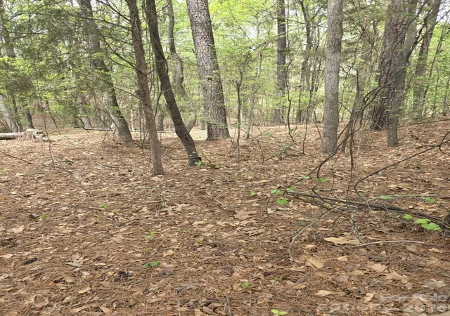 Photo 3 of Land for sale at 2093 Lometa Rd, York, SC 29745 | MLS# 4366102 | Listing updated on 2026-04-06