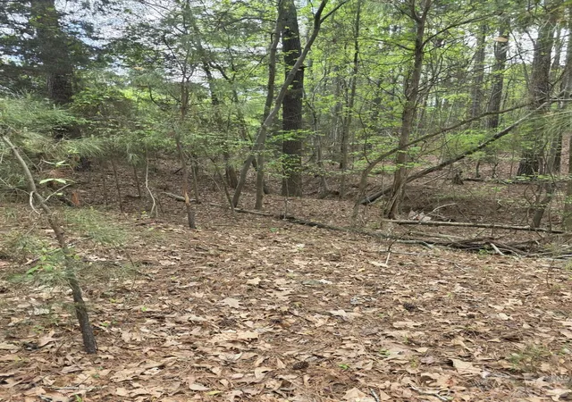 Photo 3 of Land for sale at 2093 Lometa Rd, York, SC 29745 | MLS# 4366102 | Listing updated on 2026-04-06