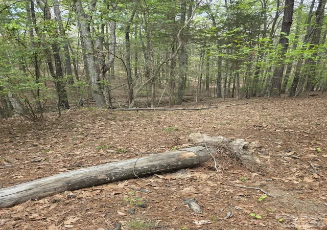 Photo 4 of Land for sale at 2093 Lometa Rd, York, SC 29745 | MLS# 4366102 | Listing updated on 2026-04-06