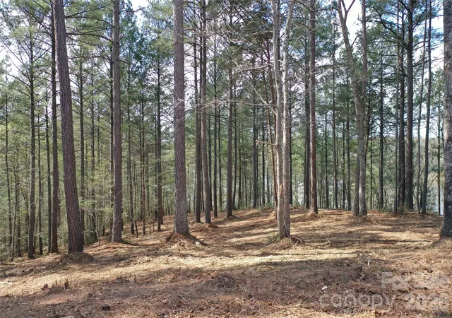 3rd image of 2299 Lighthouse Ln #76, Connelly Springs, NC 28612 | MLS# 4366306