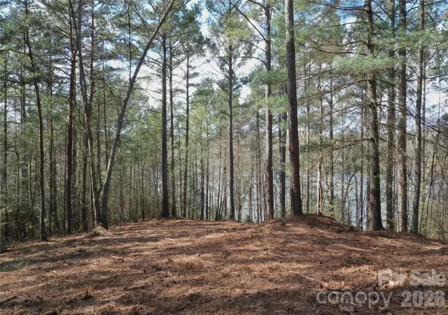 4th image of 2299 Lighthouse Ln #76, Connelly Springs, NC 28612 | MLS# 4366306
