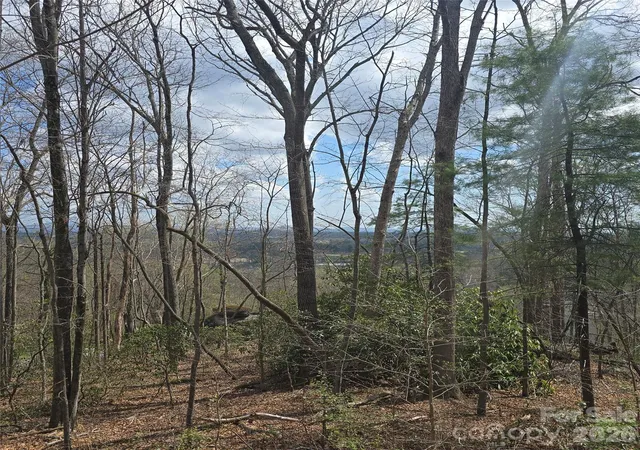 3rd image of 185 Garnet Wy #Lot 13, Hendersonville, NC 28791 | MLS# 4366356
