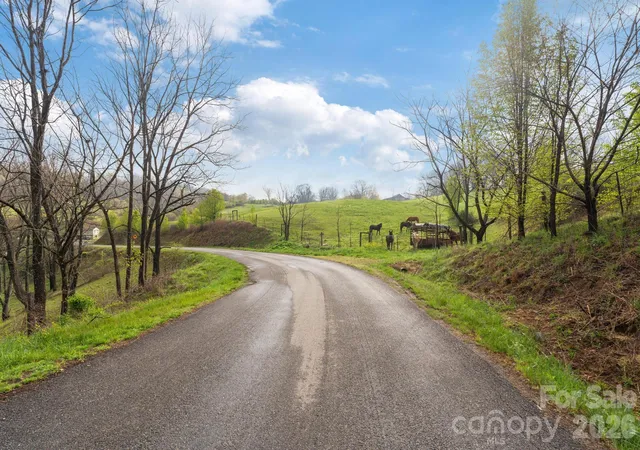 21st image of 618 Beaverdam St, Canton, NC 28716 | MLS# 4366377