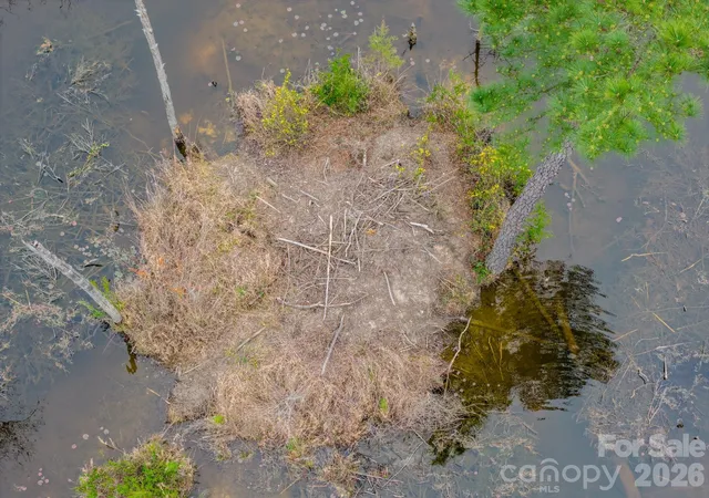 Photo 5 of Land for sale at 0 Lobelia Rd, Vass, NC 28394 | MLS# 4366506 | Listing updated on 2026-07-14