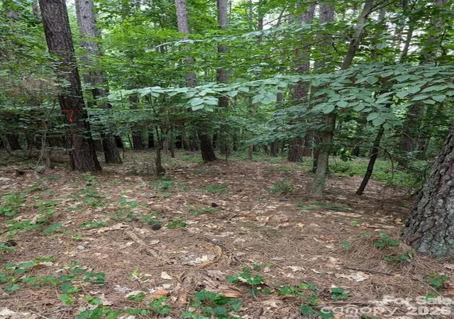 Homes for sale in Denver, NC | 00 Tallwood Dr #34A, Denver, NC 28037 | MLS# 4366734
